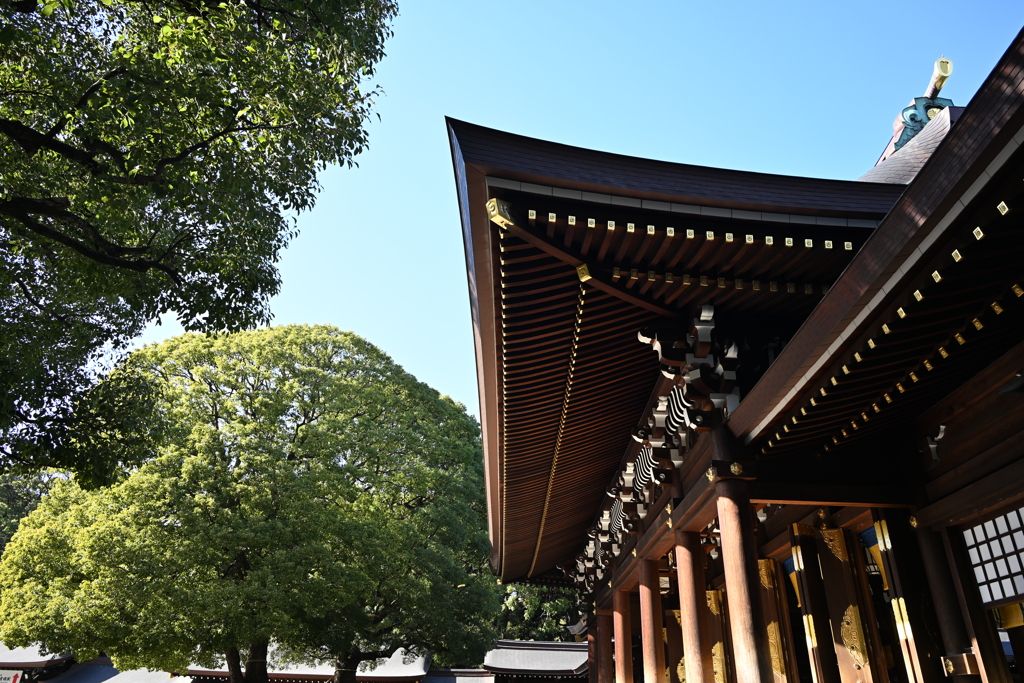 初詣：明治神宮_１９