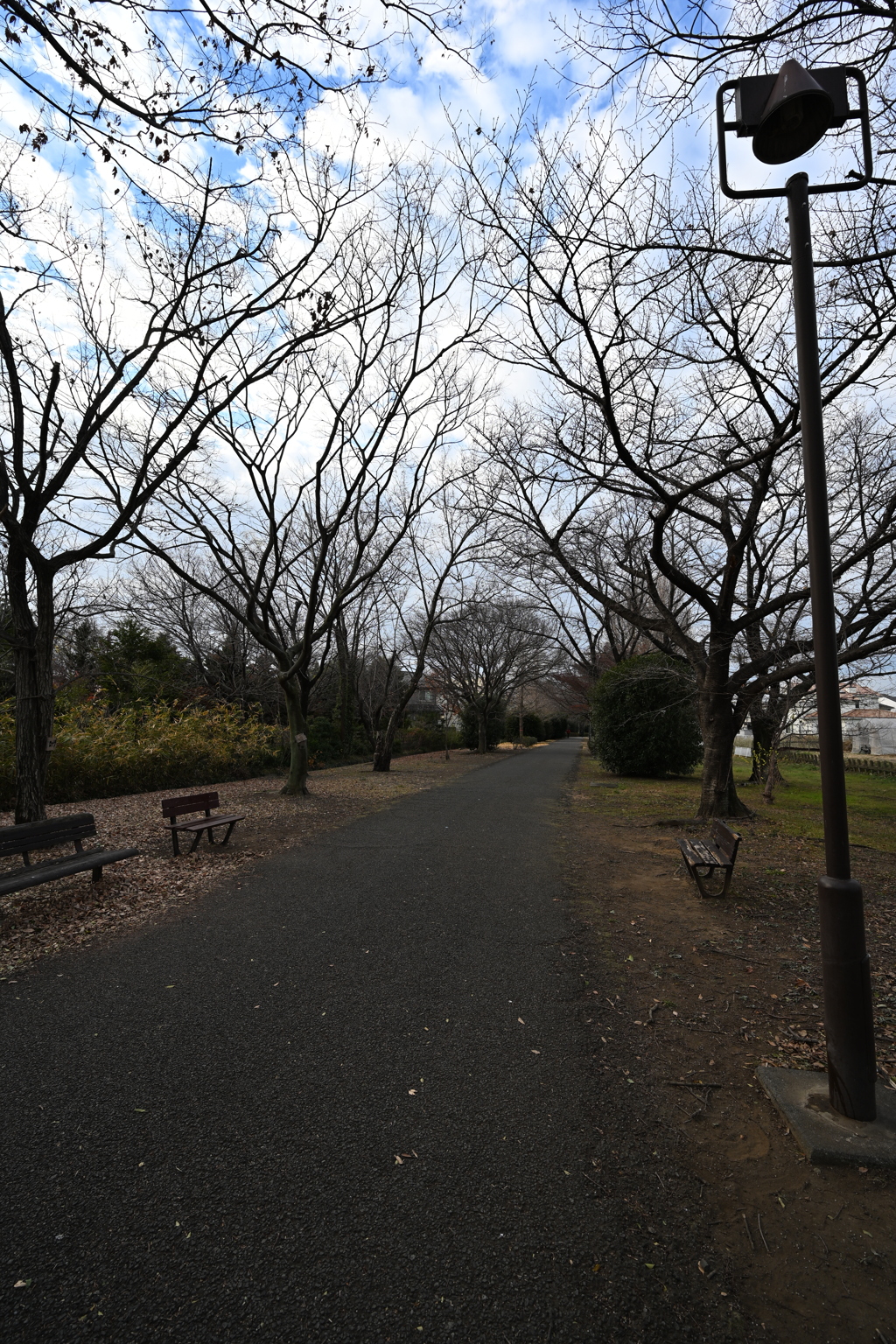 お散歩途中の公園_０６