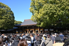 初詣：明治神宮_１３