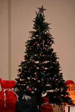 クリスマスツリー_１２