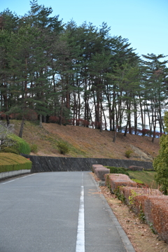 発表会会場付近の風景_１８