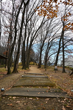 発表会会場周辺の風景_０６