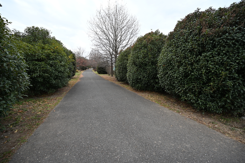 お散歩途中の公園_２０