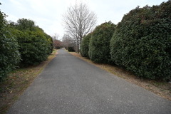 お散歩途中の公園_２０