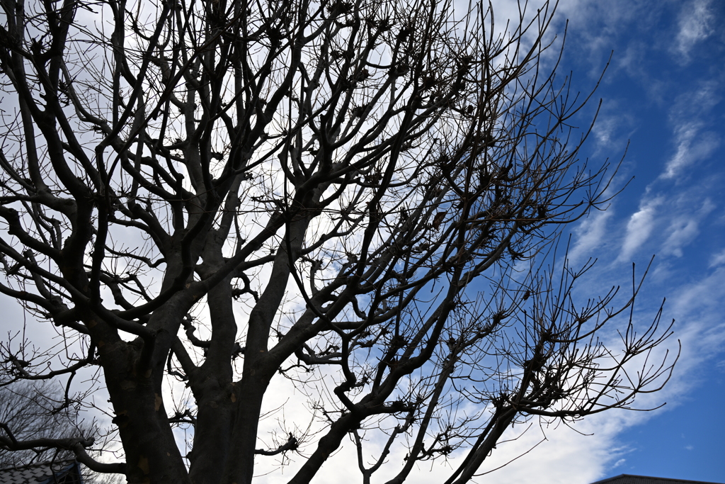 発表会会場周辺の風景_０１