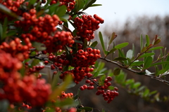 発表会会場周辺の風景_０５