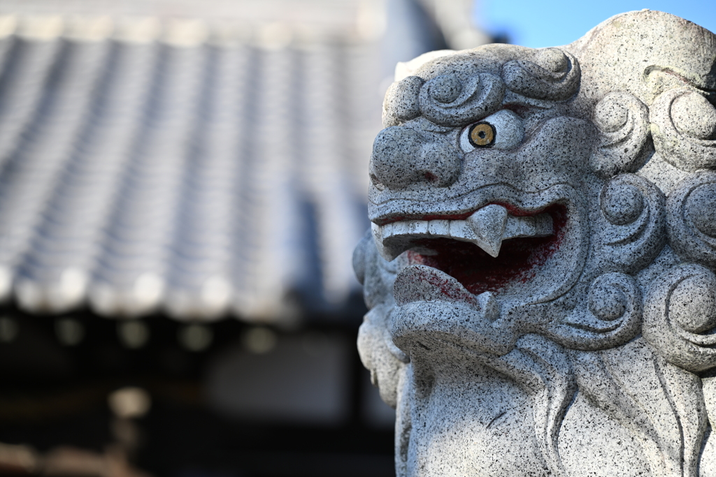 神社の狛犬_１１