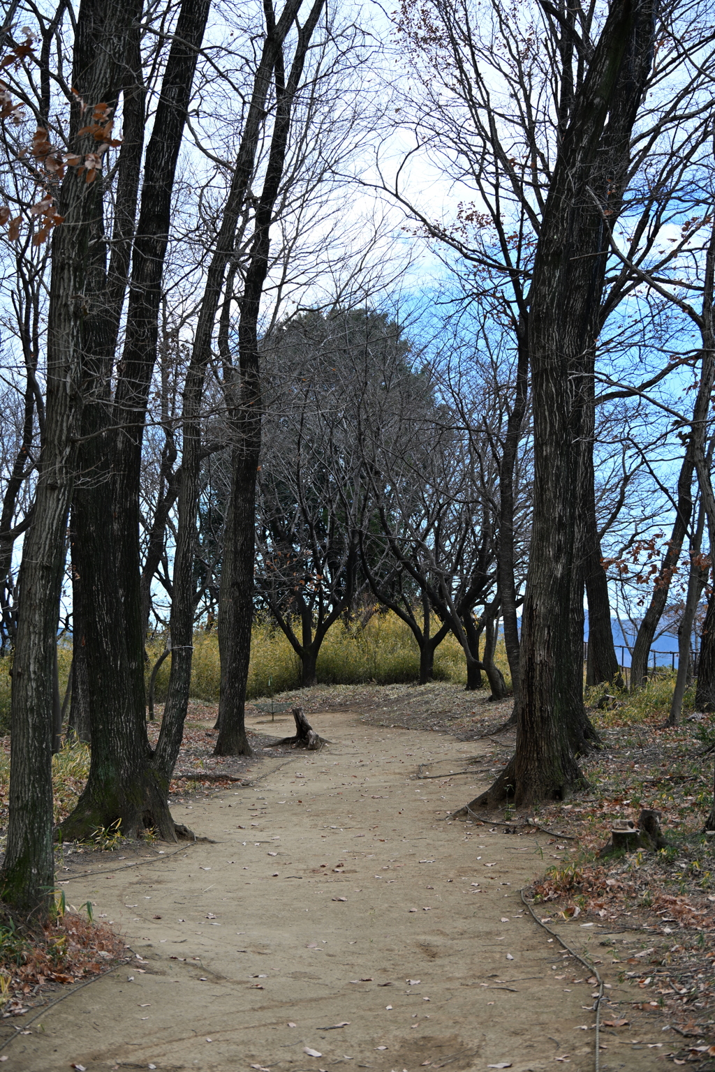 発表会会場周辺の風景_０９