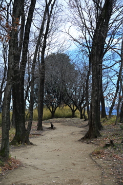 発表会会場周辺の風景_０９