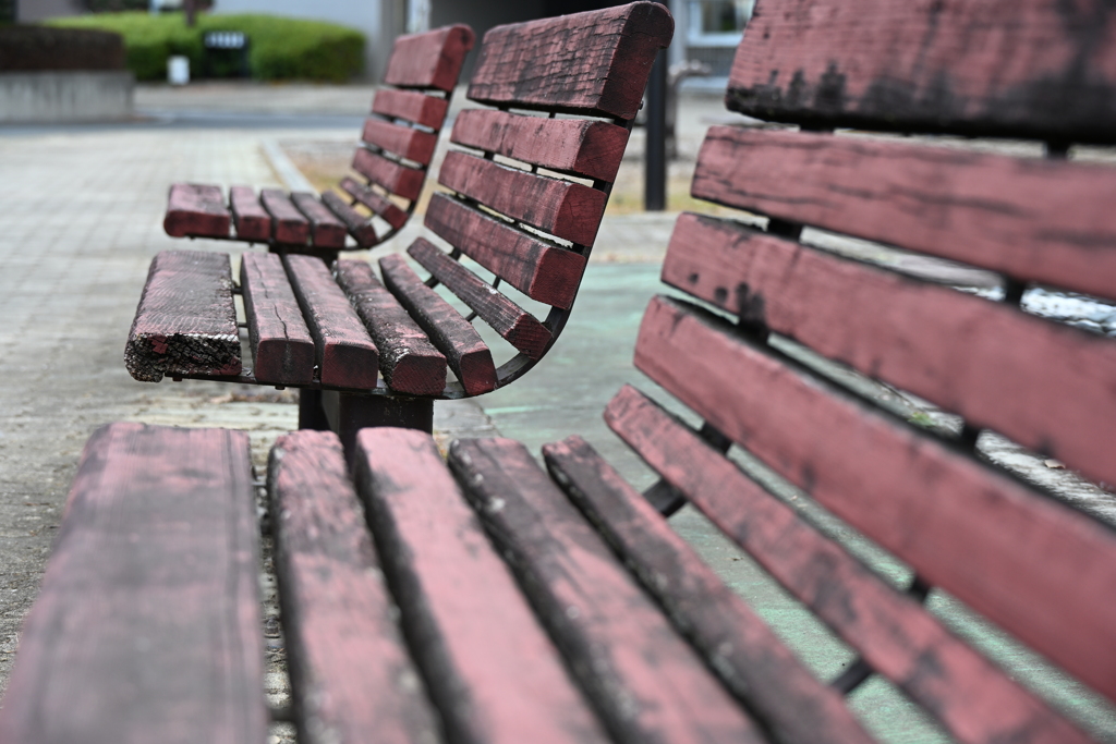 発表会会場周辺の風景_０３