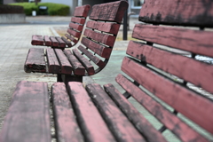 発表会会場周辺の風景_０３