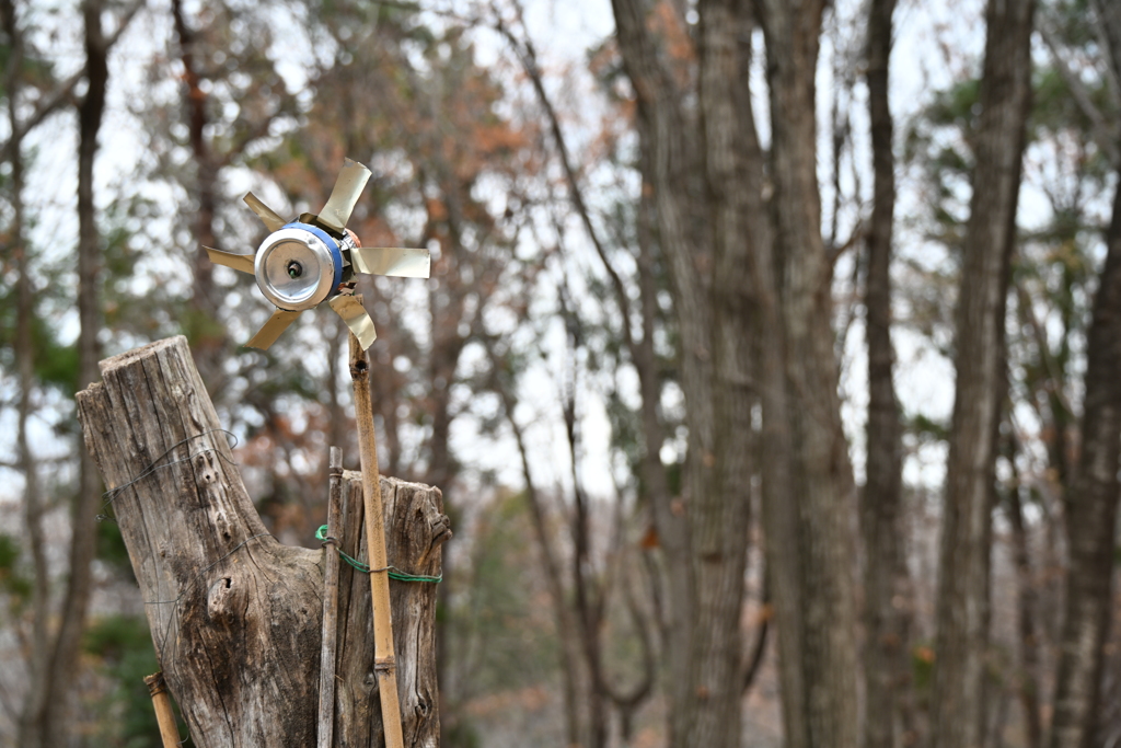 発表会会場周辺の風景_０７