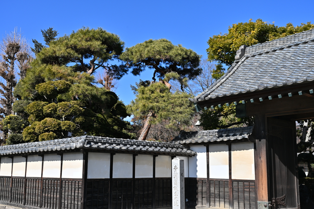 旧渋沢邸「中の家」_１５