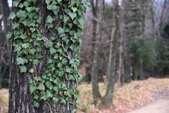 発表会会場周辺の風景_１０