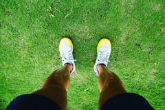 仕上がってきた