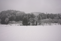 雪の中　山沿いの田んぼ