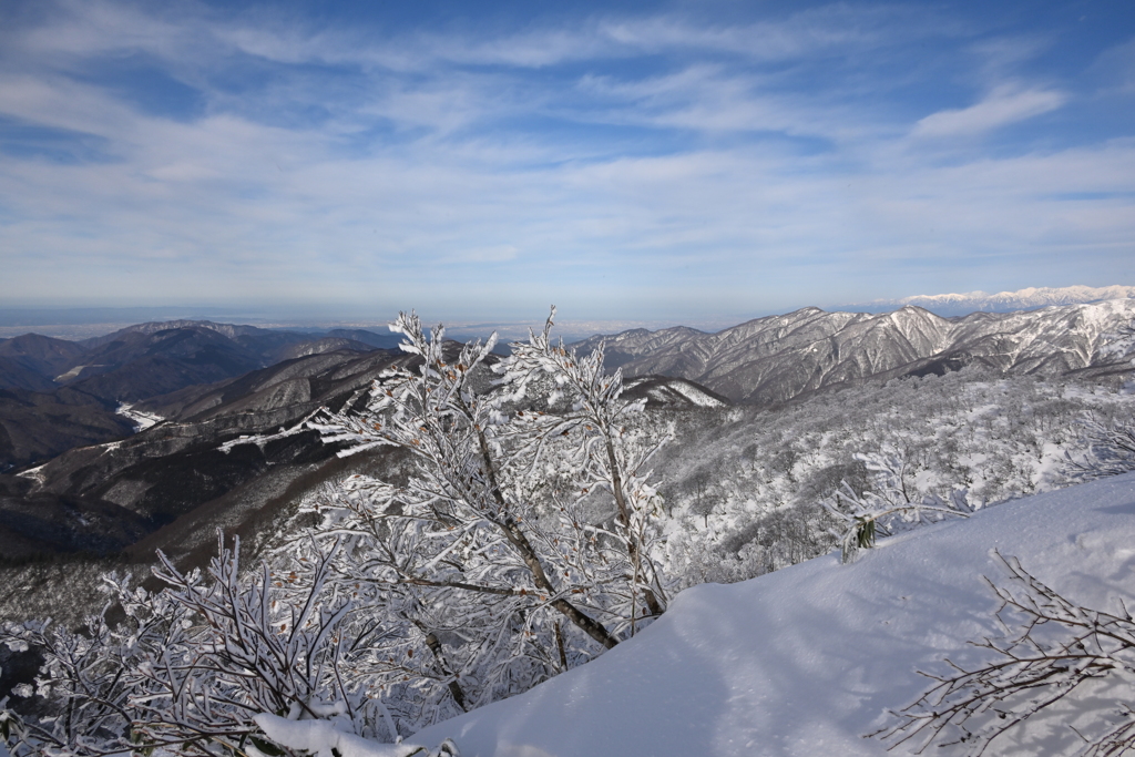 雪山から富山湾