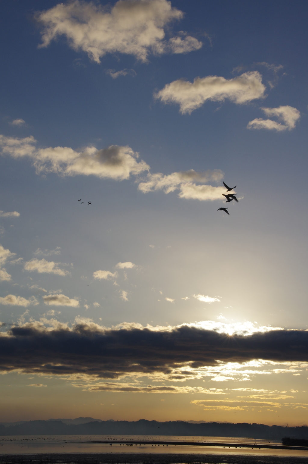 IMGP6622　伊豆沼の朝焼け
