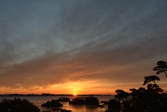 DSC_6556絶景の松島