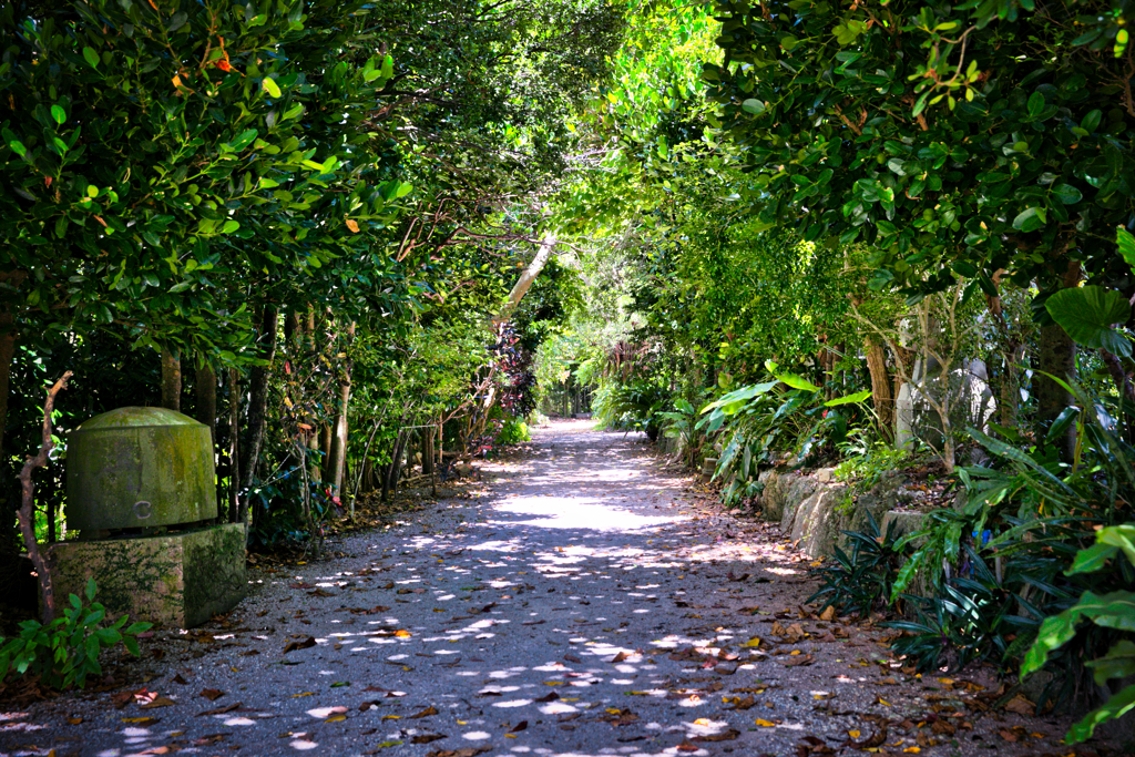 あの頃へと　つづきますか