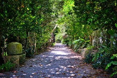 あの頃へと　つづきますか