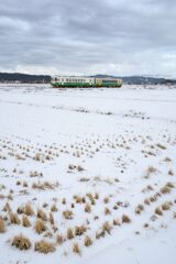 Gemini_Generated_Image_wv5delwv5delwv5d