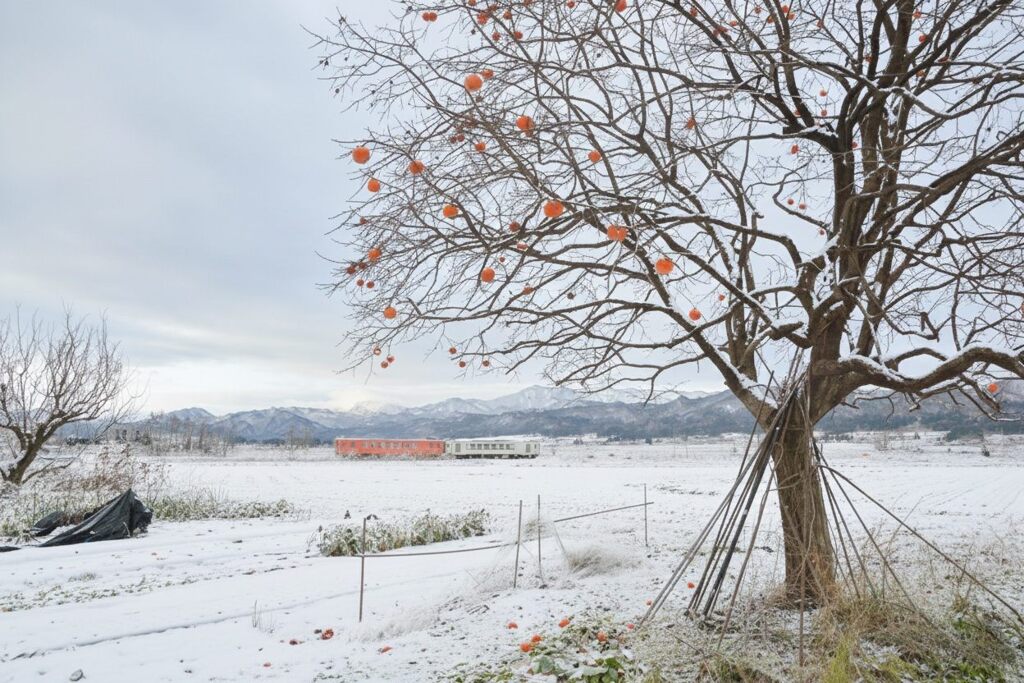 Gemini_Generated_Image_52l1mv52l1mv52l1