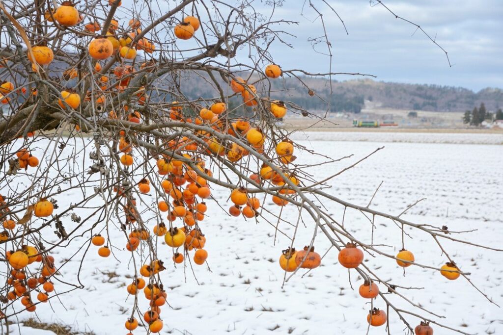 Gemini_Generated_Image_y010jny010jny010