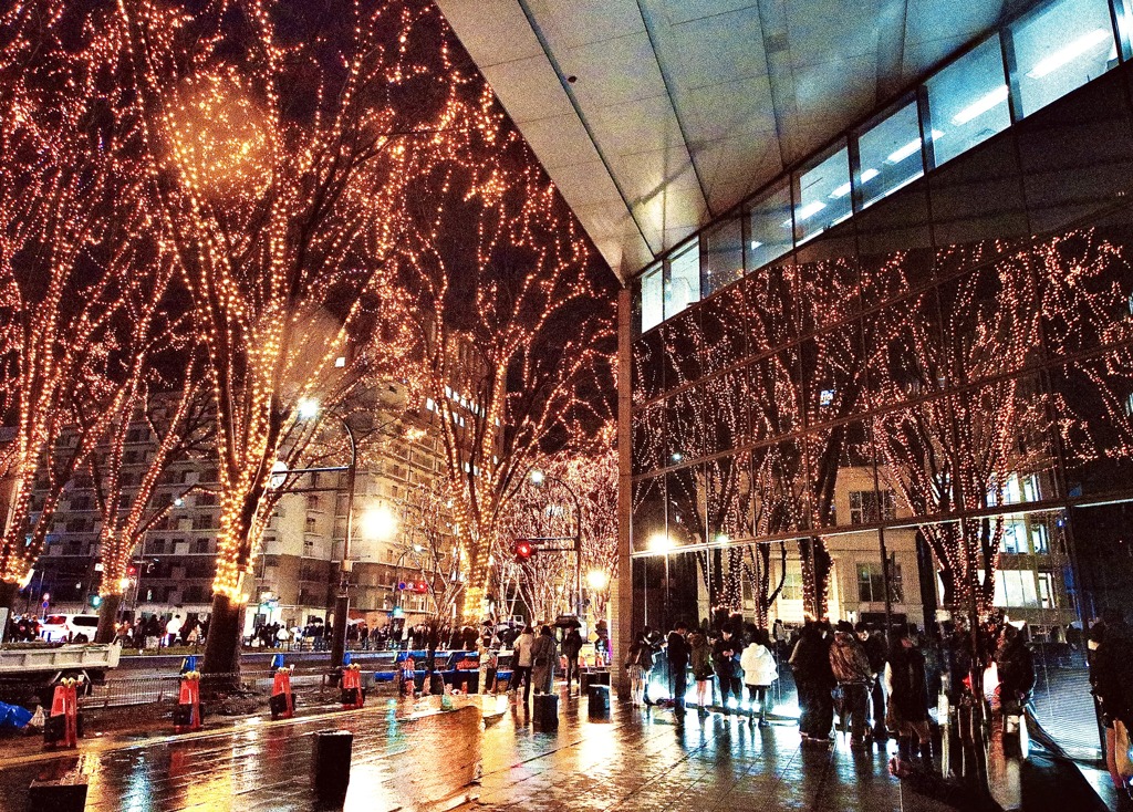 仙台光のページェント5