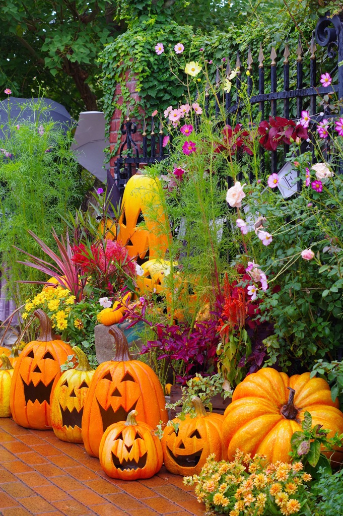 横浜イングリッシュガーデンのハロウィン1