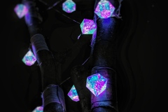 SENDAI Bright-Nights STORY 4