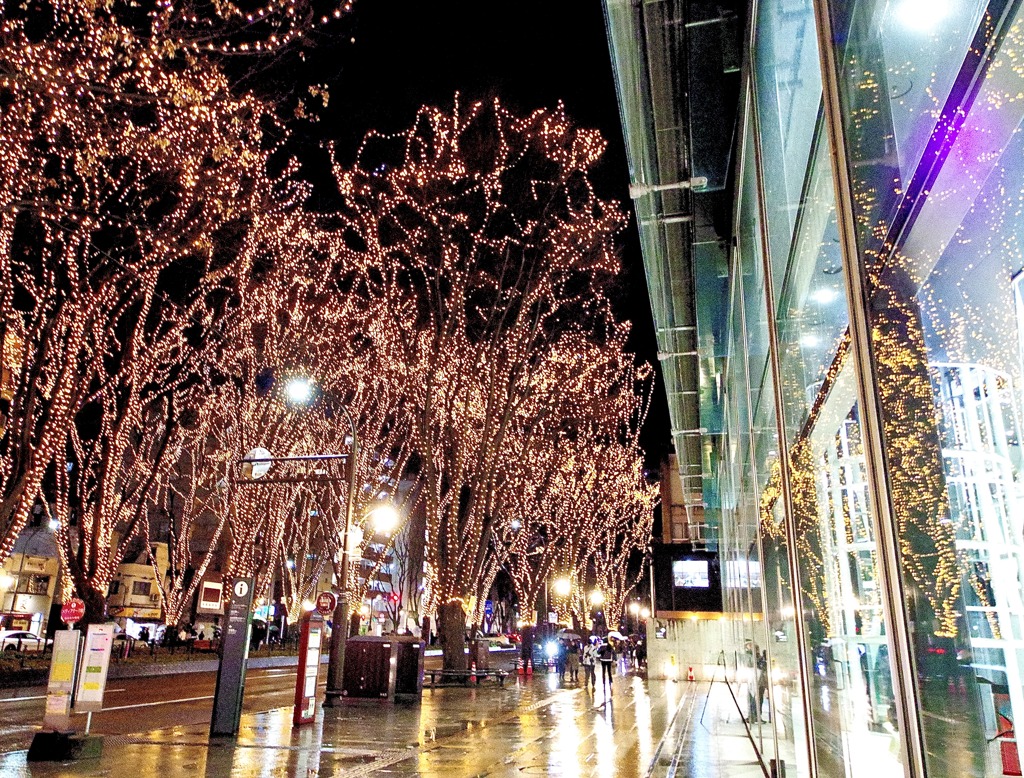 仙台光のページェント7