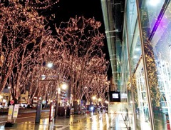 仙台光のページェント7