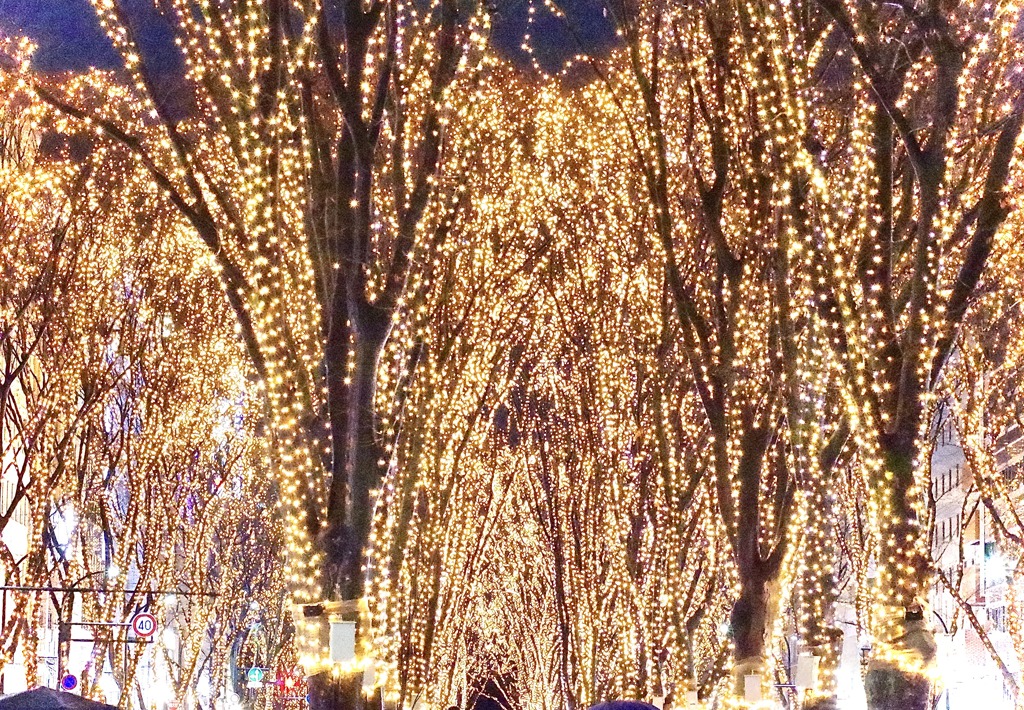 光のページェント4