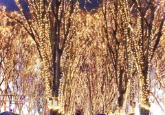 光のページェント4