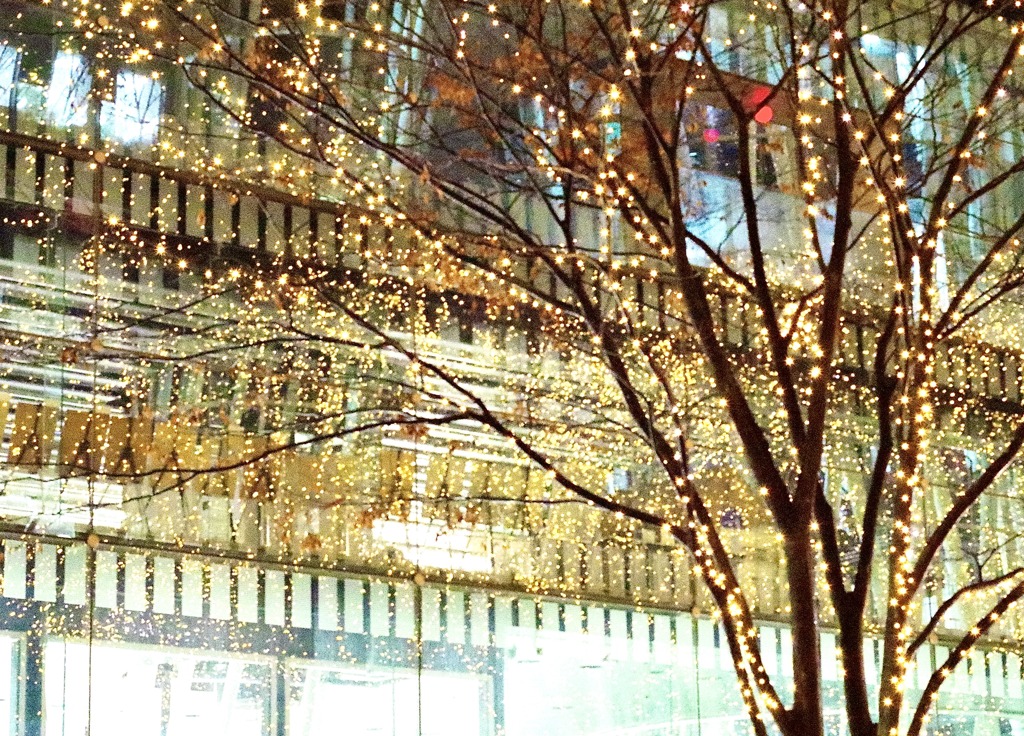 仙台光のページェント6