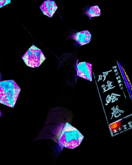 SENDAI Bright-Nights STORY　2