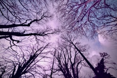 静かなさざめき