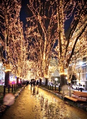 仙台光のページェント1