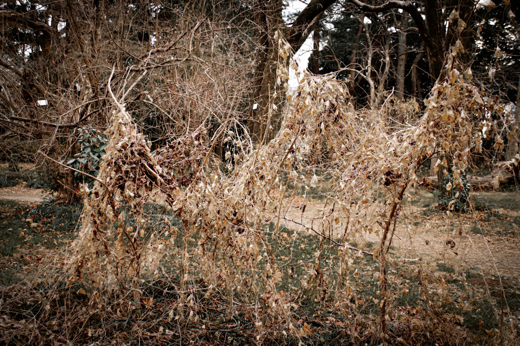 パレードは終わりました