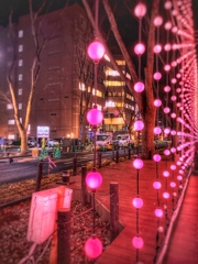 SENDAI Bright-Nights STORY 7