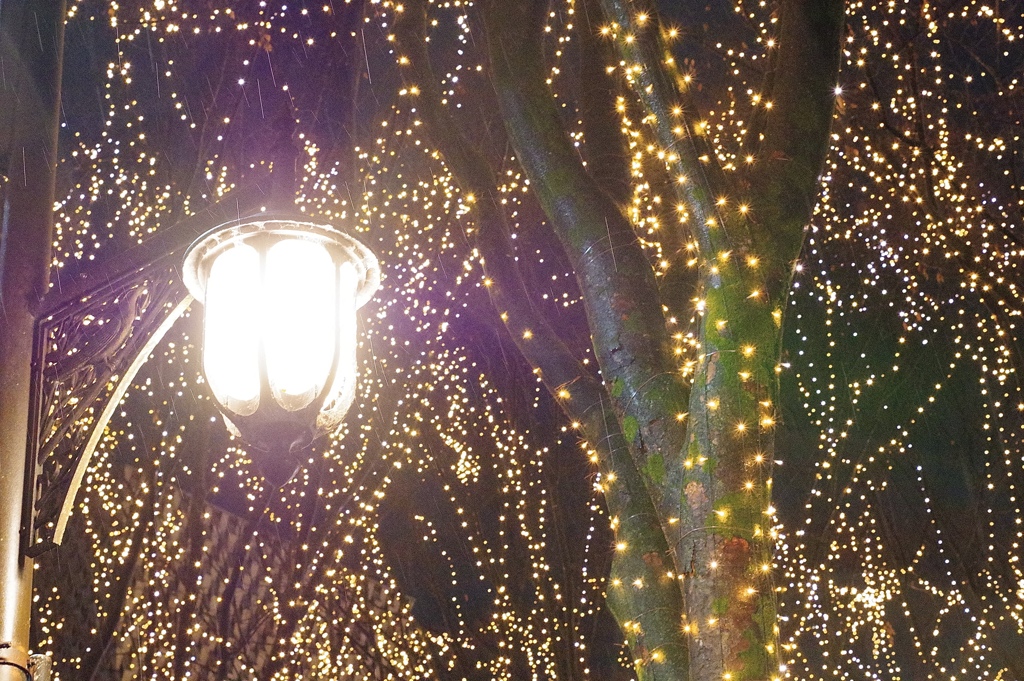 仙台光のページェント8