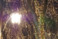 仙台光のページェント8