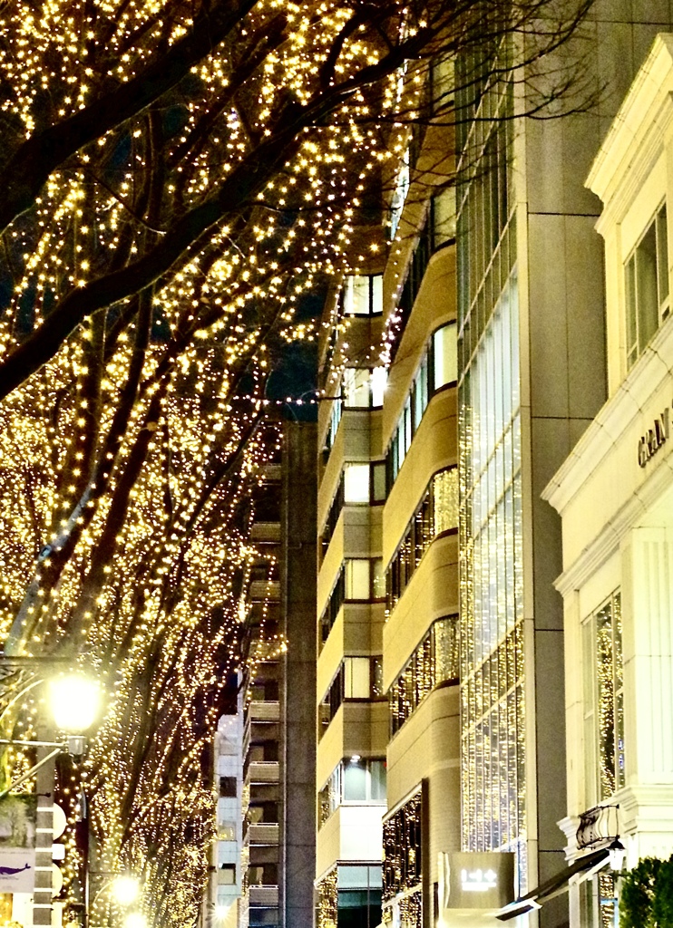 仙台光のページェント2