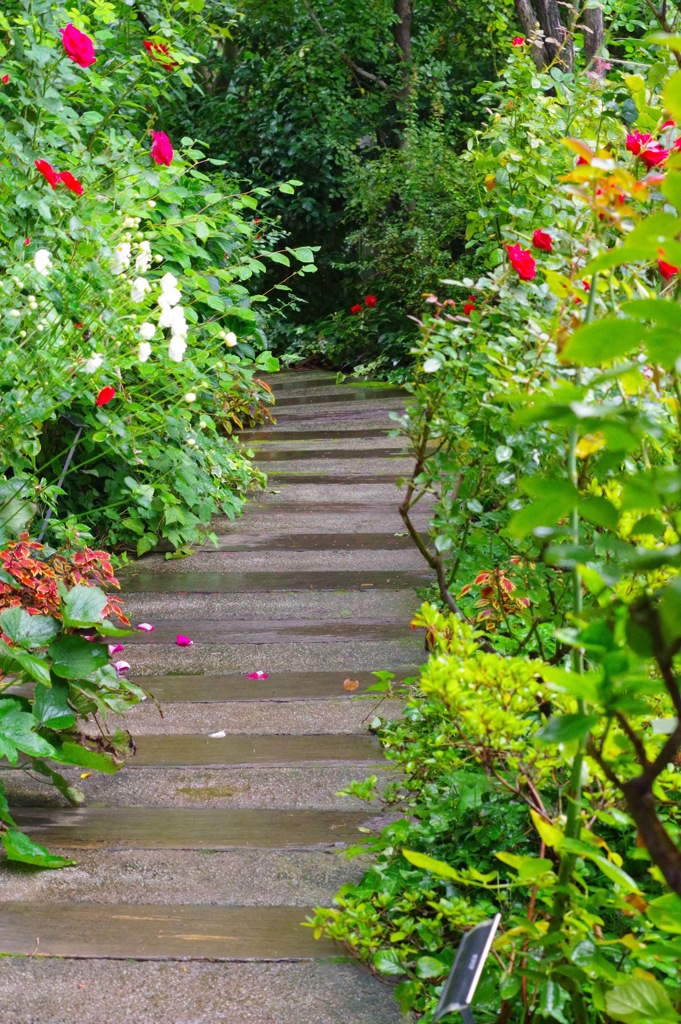 横浜イングリッシュガーデン1