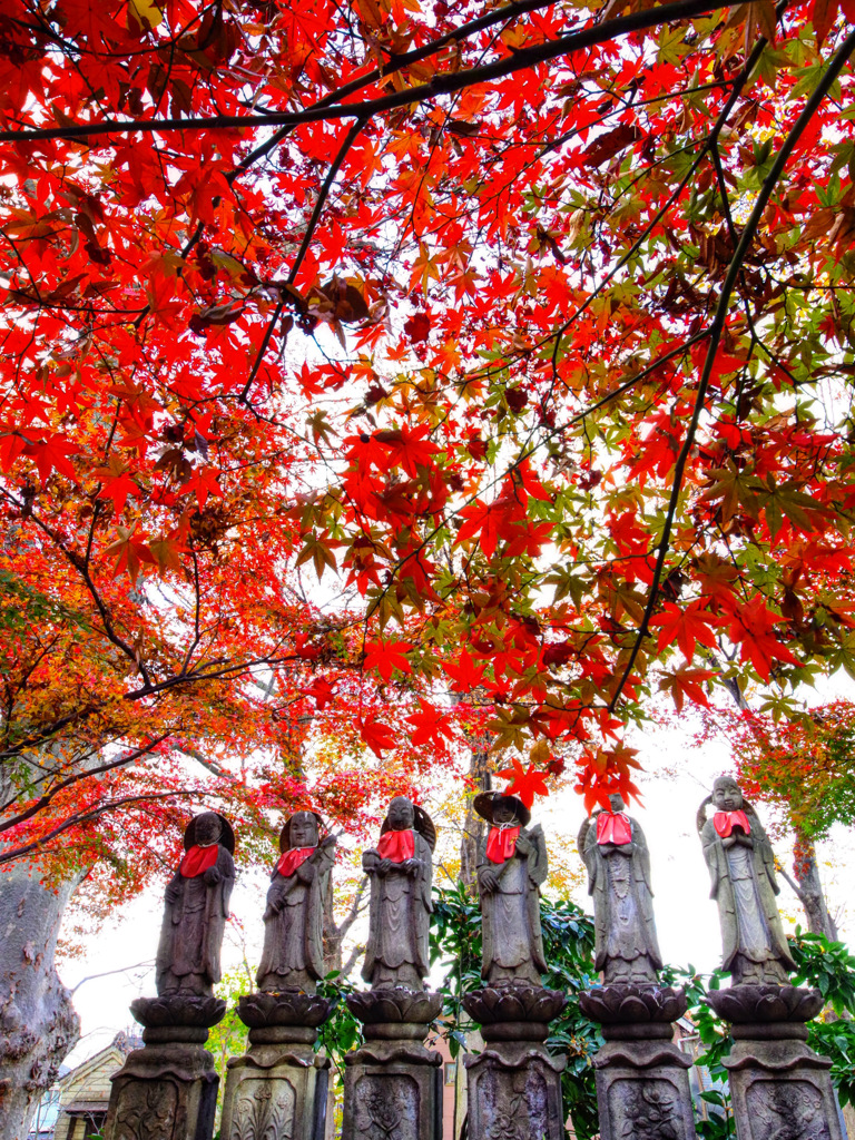 九品仏浄真寺のお地蔵さん1