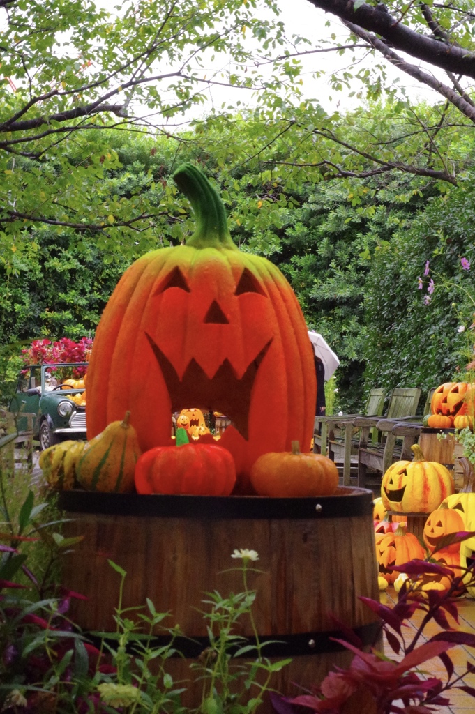 横浜イングリッシュガーデンのハロウィン3