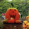 横浜イングリッシュガーデンのハロウィン3