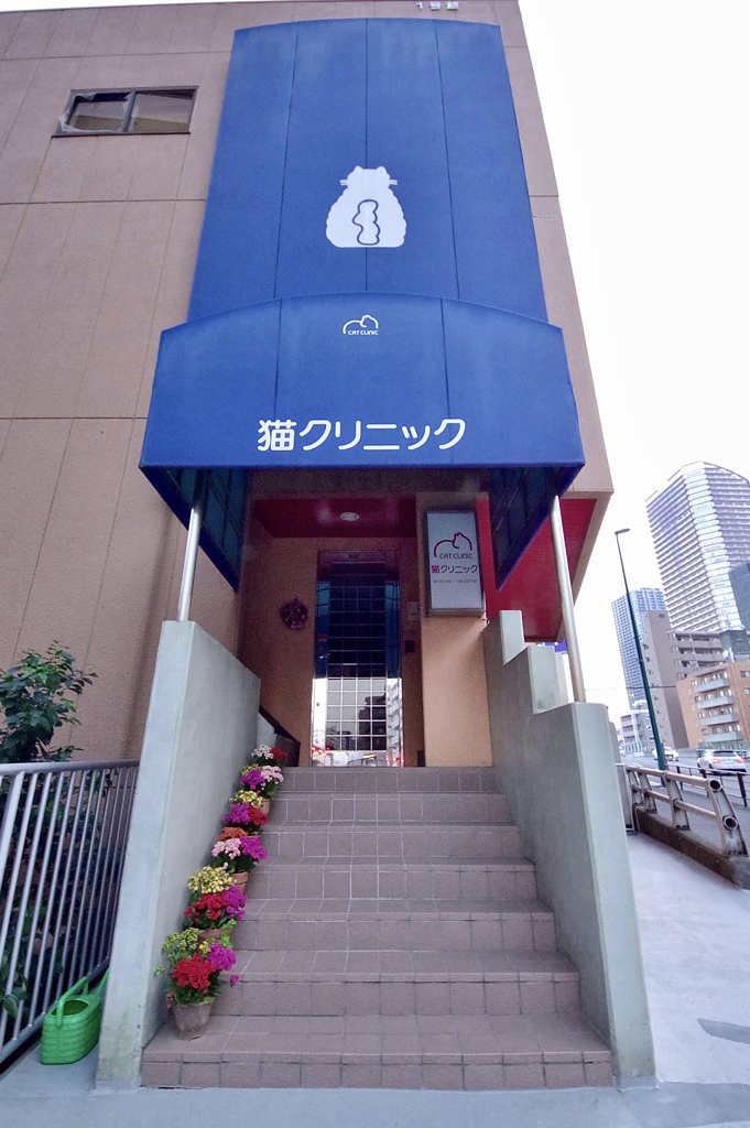 シンプルだニャ~