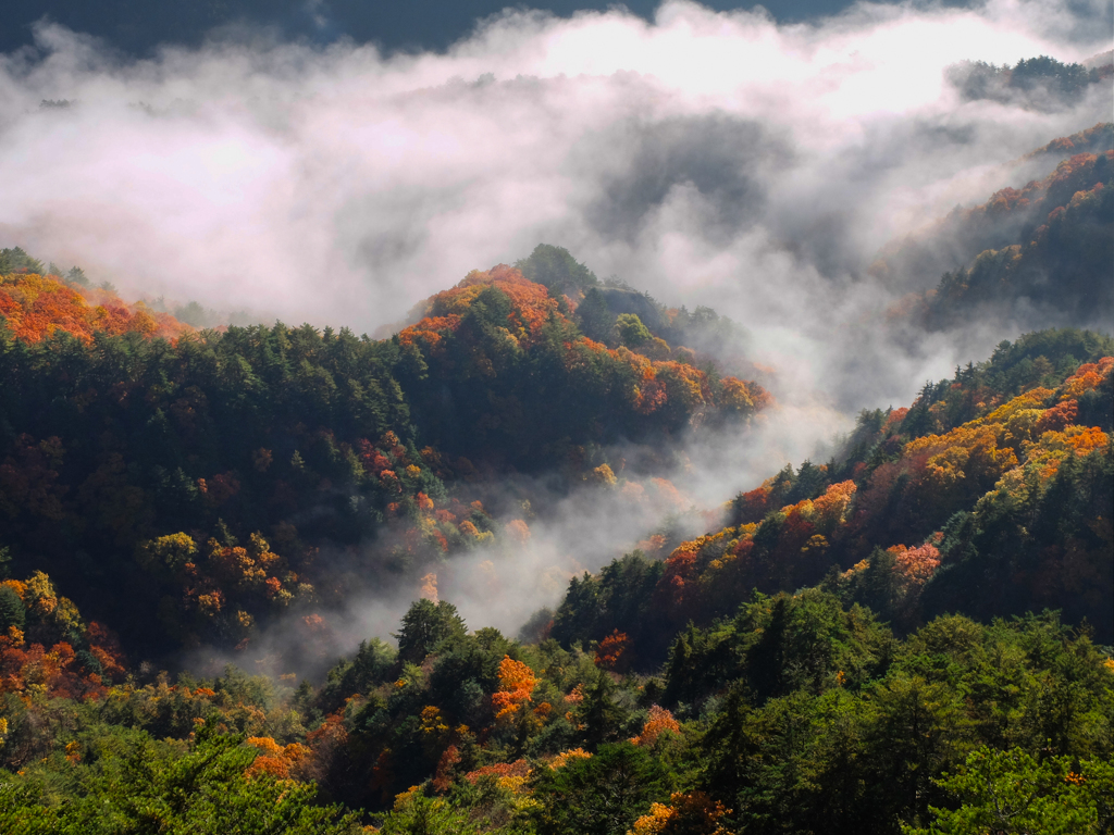 谷間を覆う雲海
